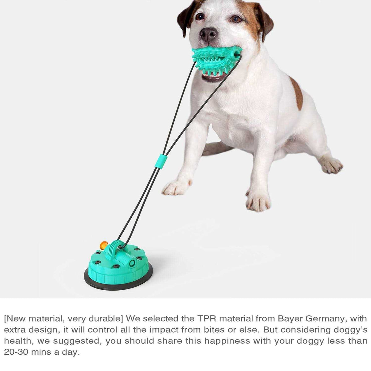 Toothbrush Dog Chew Toy E74045