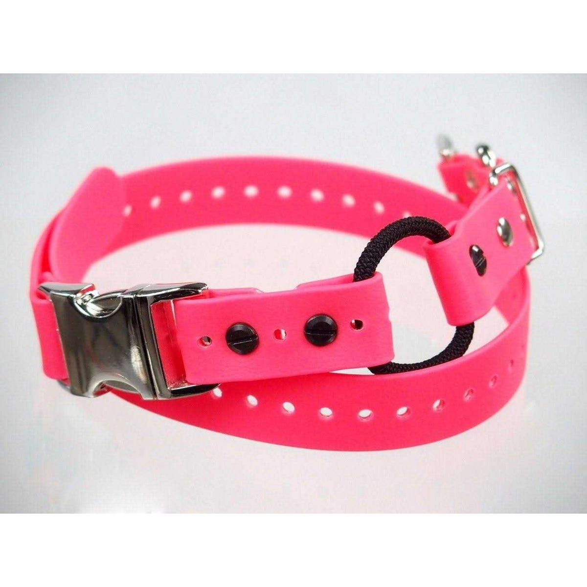Bungee Collar D822451