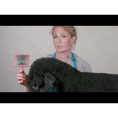 Pet Supplies P2269