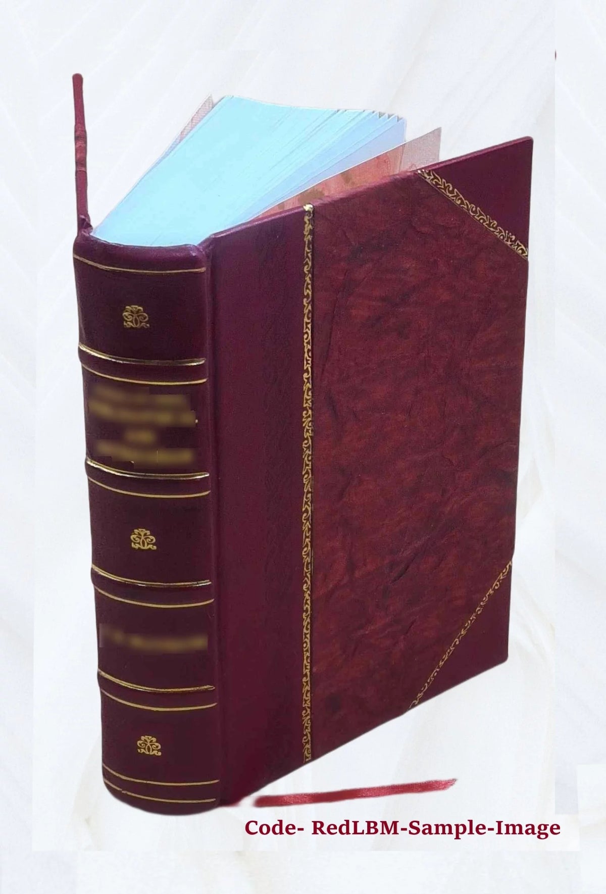 Leather Bound Z87335