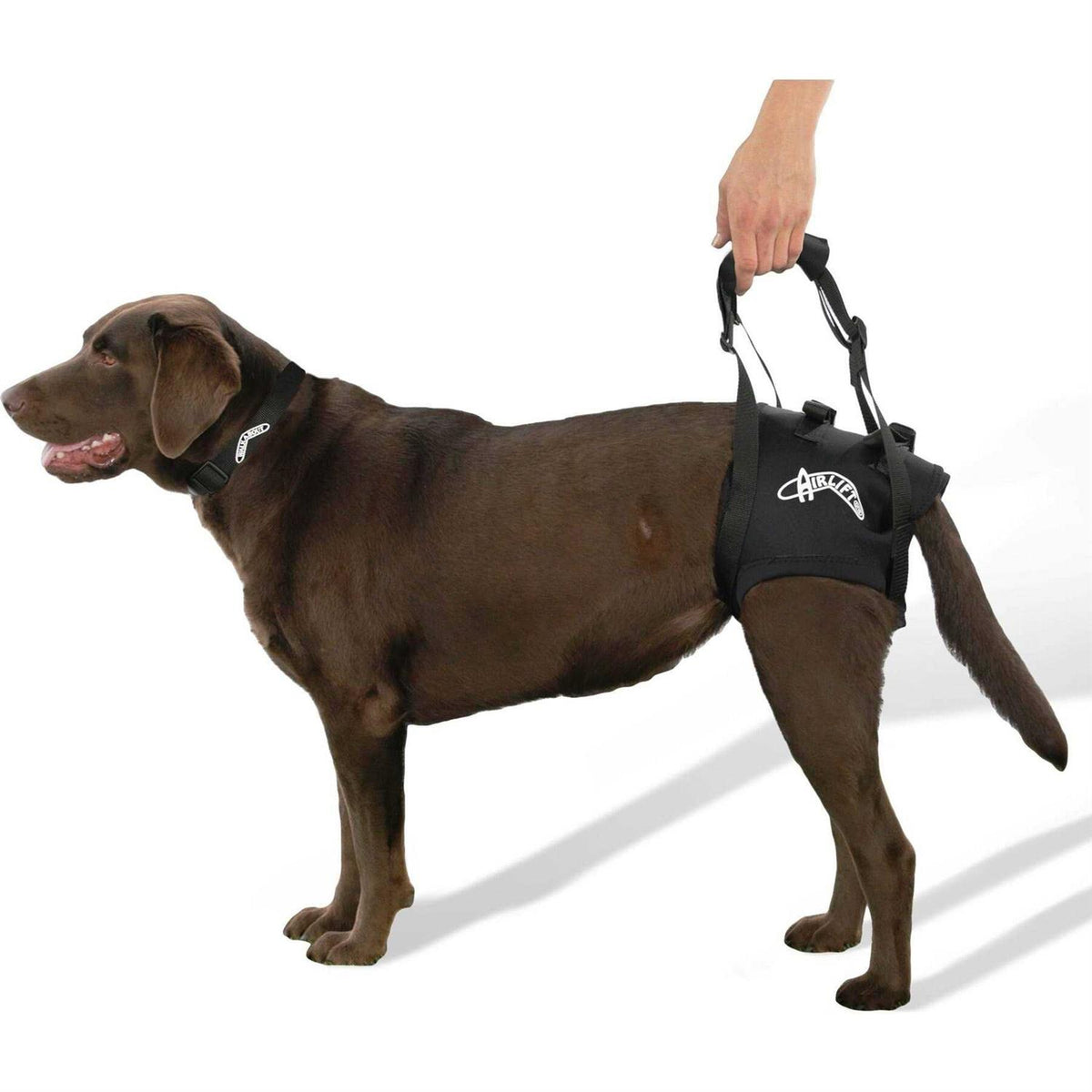 Support Harness Z9811