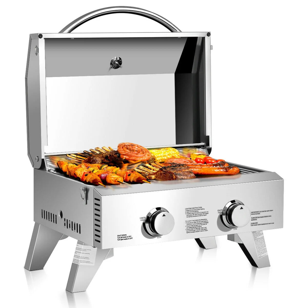 2 Burner Portable Propane Gas Grill Stainless Steel D500