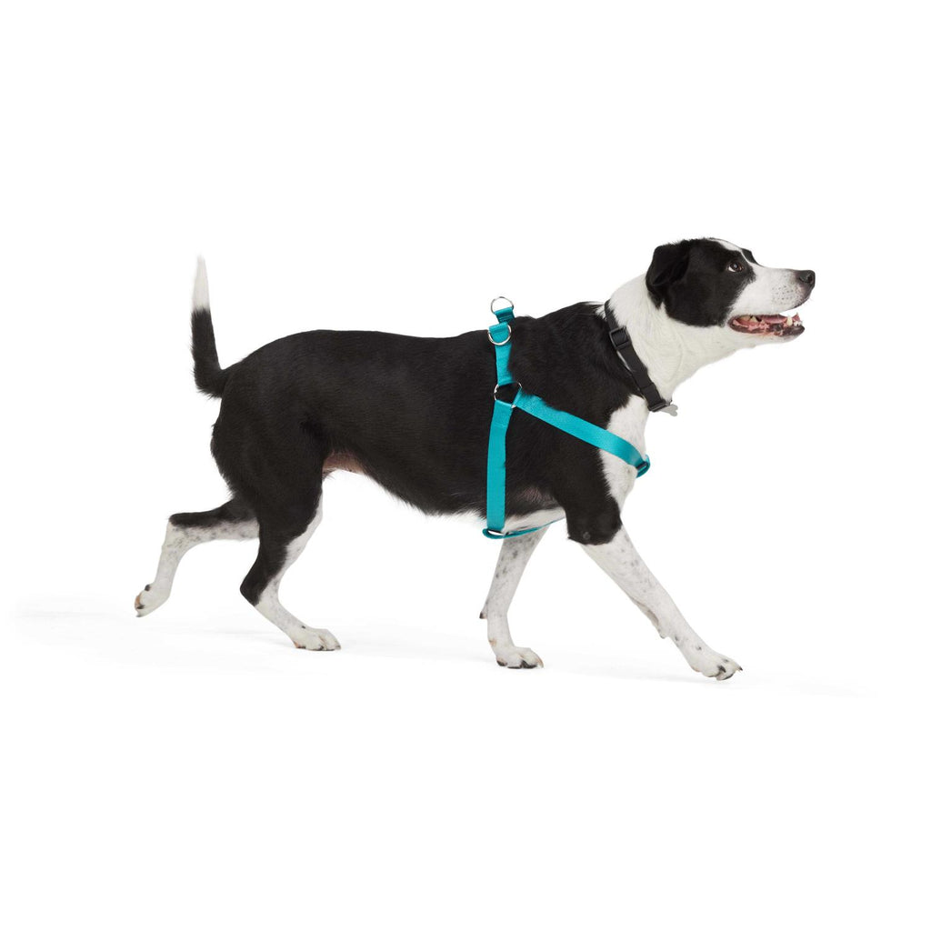 Dog Harness O4689