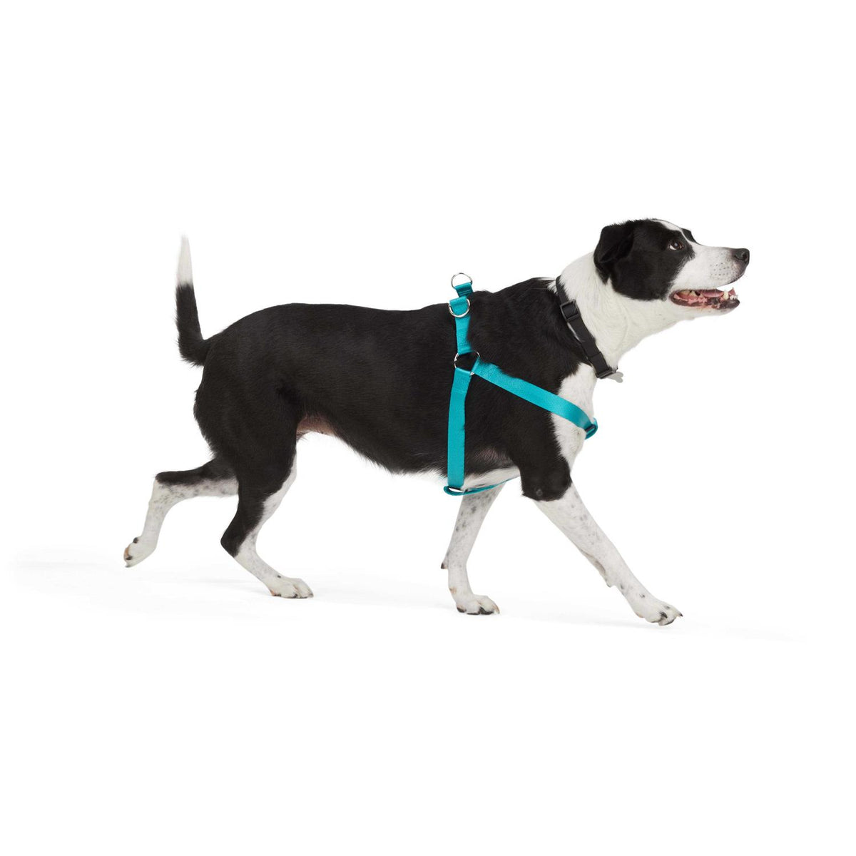 Dog Harness O4689