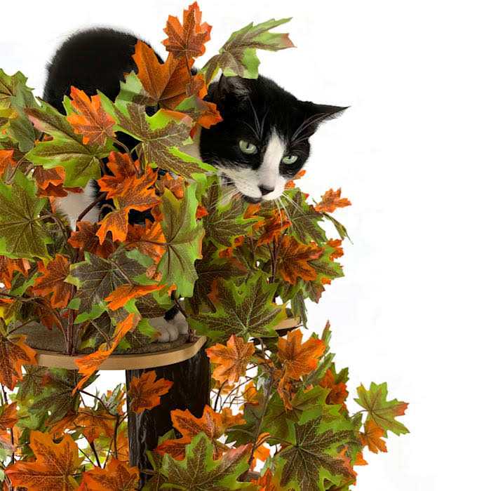Square Cat Tree U9552
