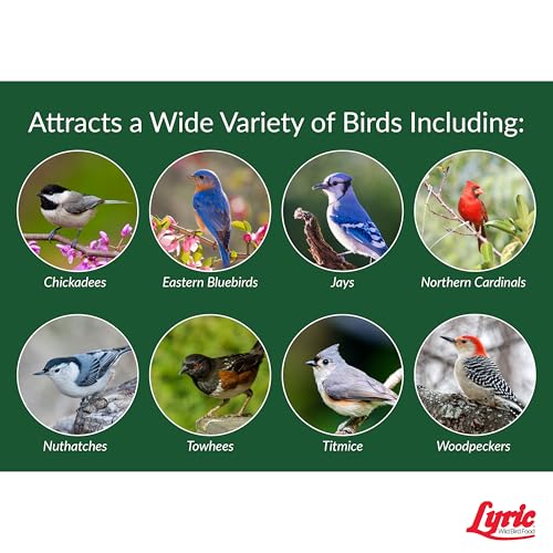 Peanut Pieces Wild Bird Seed 15 lb bag F963