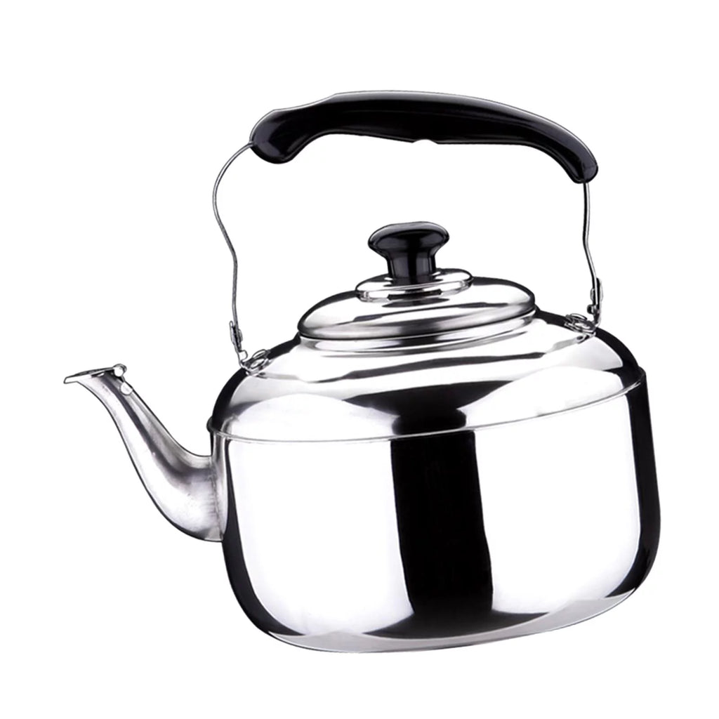 Stainless Steel 5L Stovetop Whistling Kettle M187884