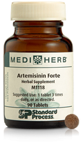 Artemisinin Forte 90 Capsules C78620