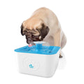 Dog & Cat Filtered Water Fountain X268881