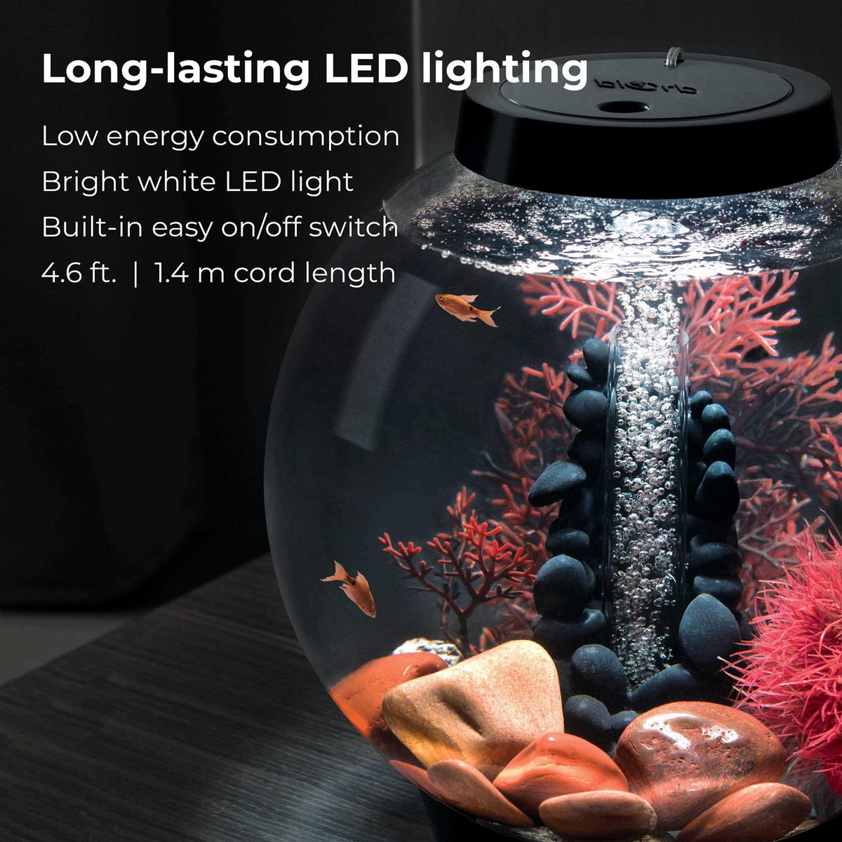 15 Aquarium Set with LED Light B618197