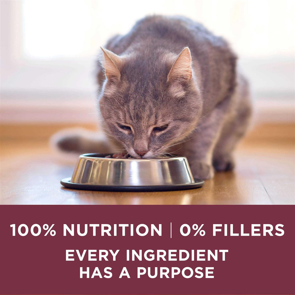 Urinary Tract Health Dry Cat Food I2927