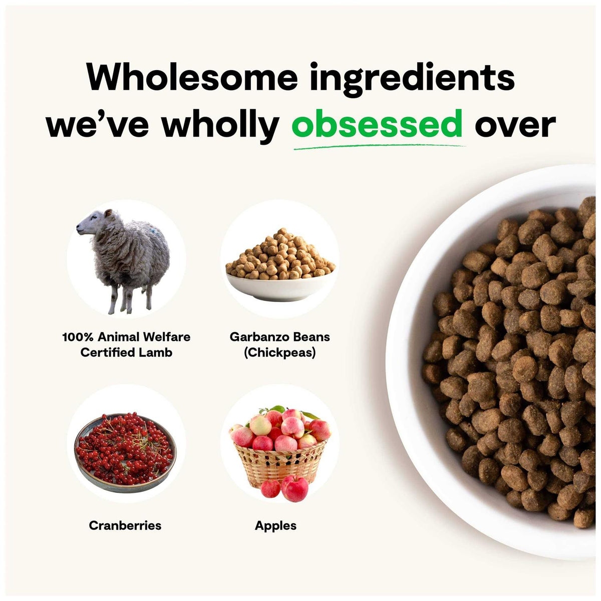 Grain-Free Pasture Raised Lamb Dry Dog Food S928519