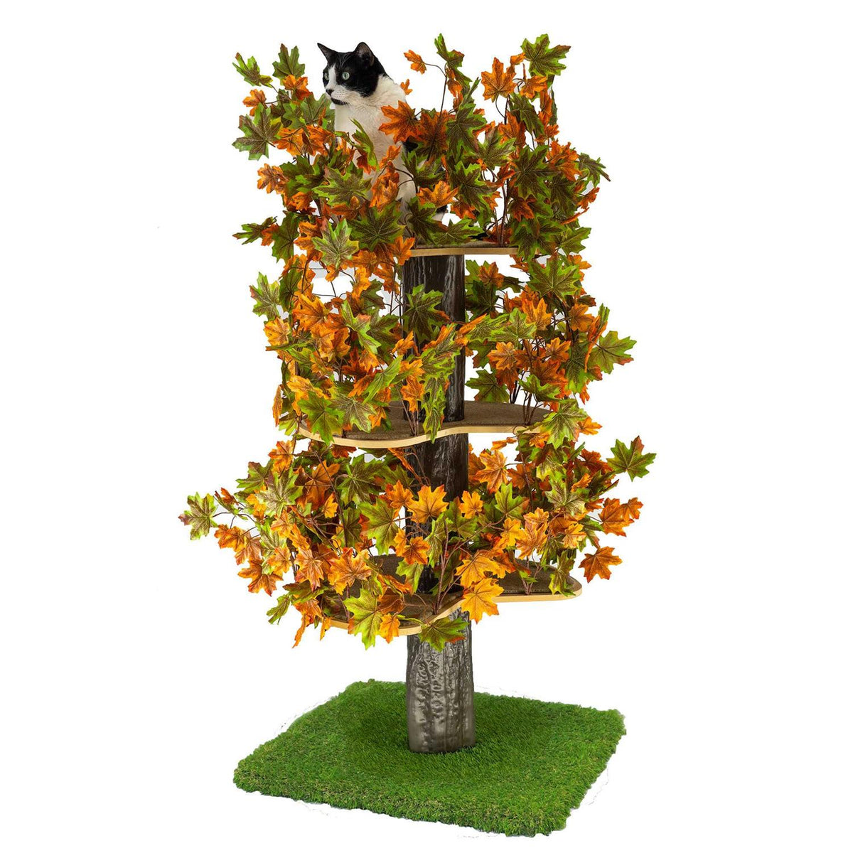 Square Cat Tree U9552