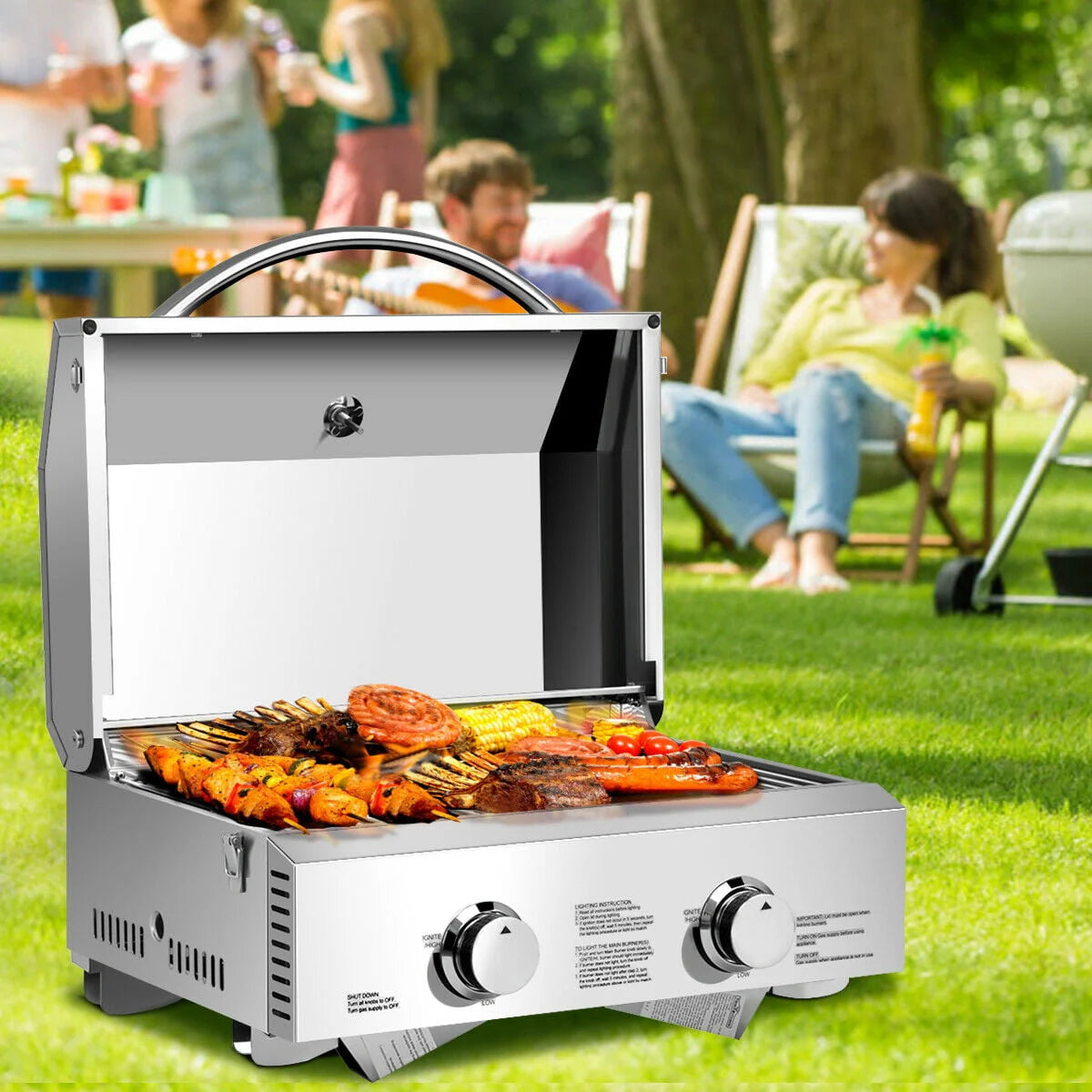 2 Burner Portable Propane Gas Grill Stainless Steel D500