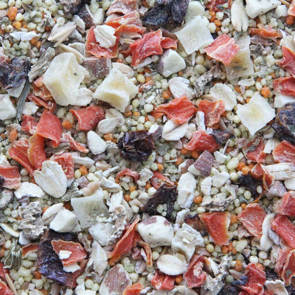 Bird Food N311978