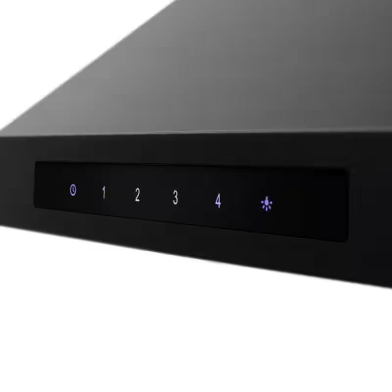 Black Stainless Steel 30 in. 400 CFM Convertible Wall Mount Range Hood D280