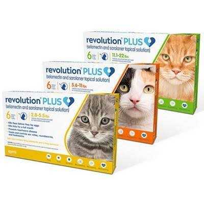 Cat Pet Supplies M114