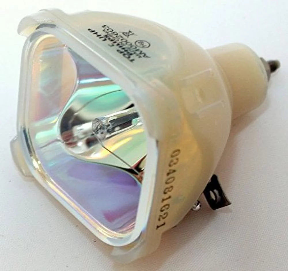 Projector Bulb without Housing B173