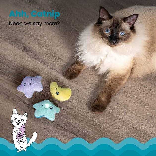 Catnip Cat Toy M57295