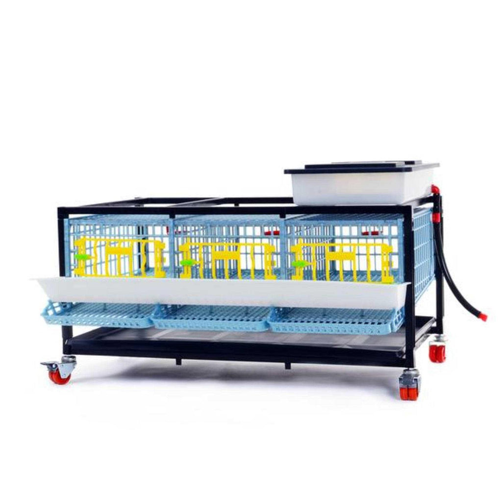 Partridge Cage 1 Layer C9072