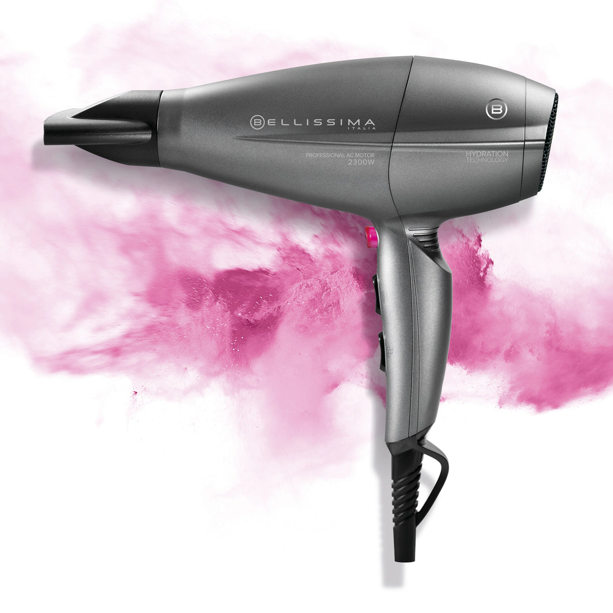 Professional Hair Dryer H336