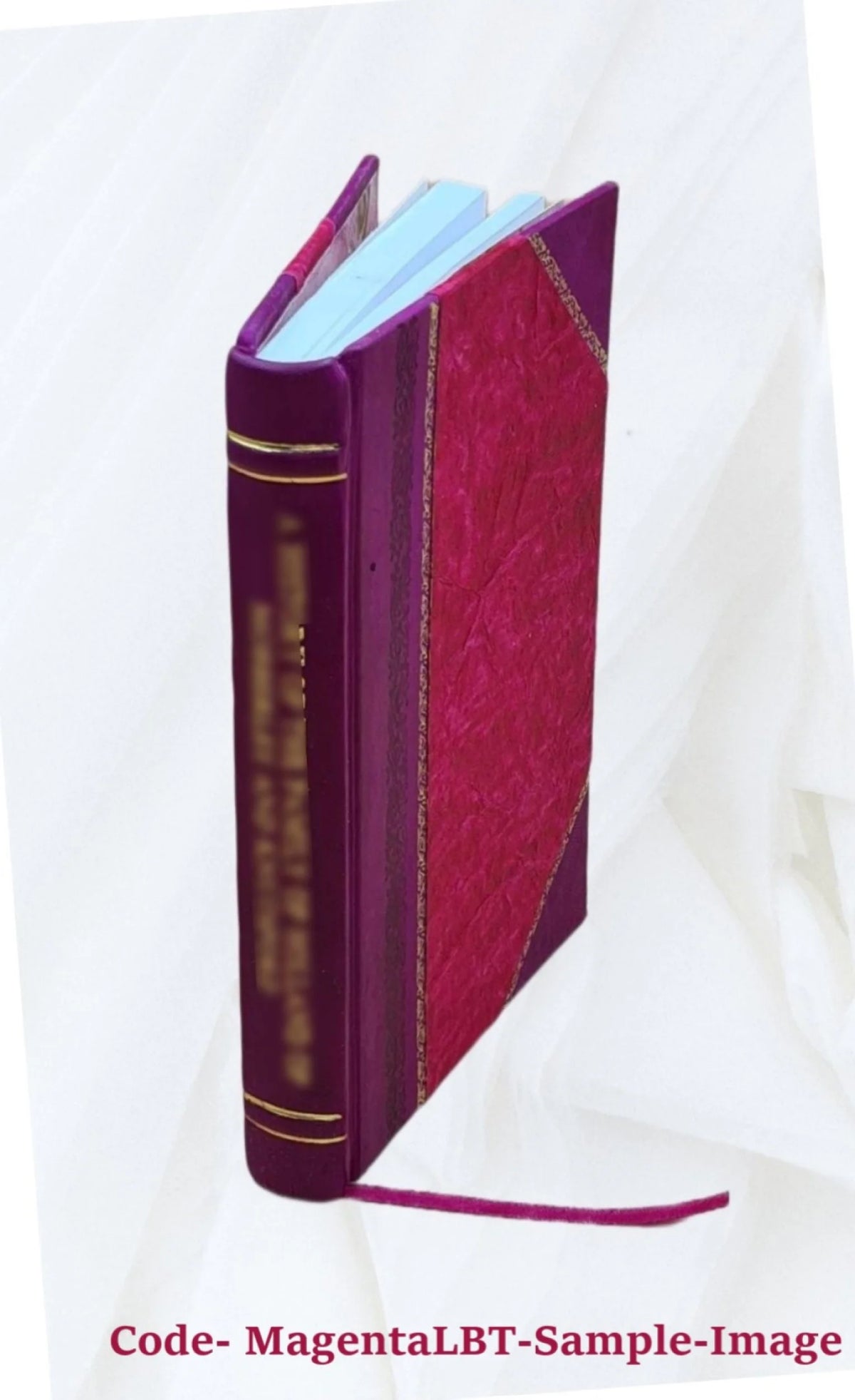 1889 Leather Bound Book T172