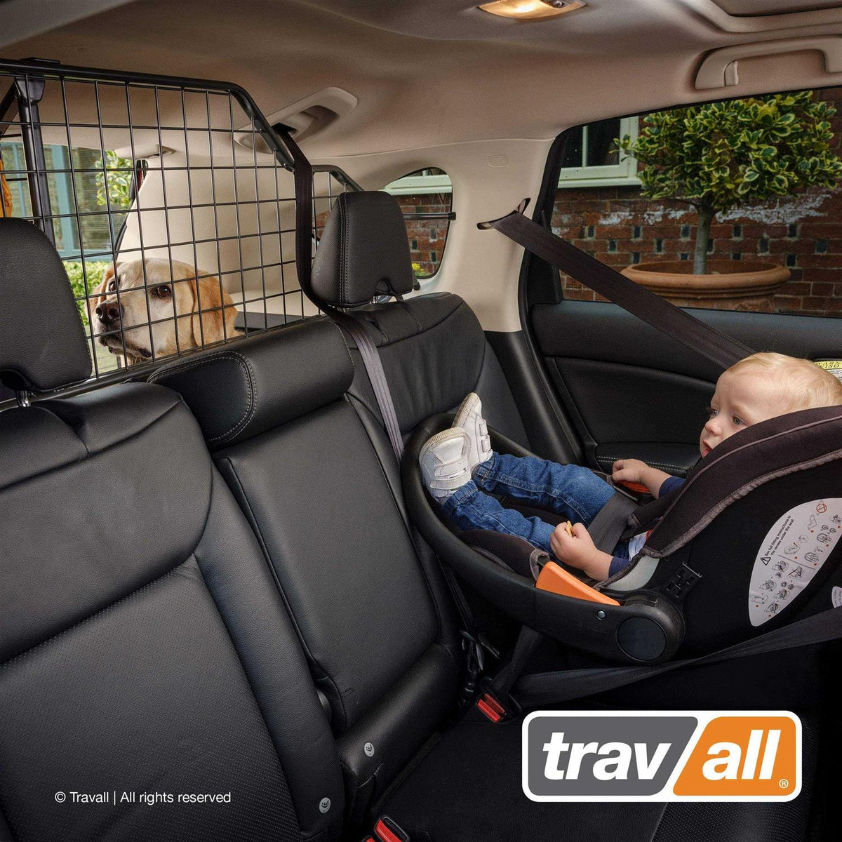 Pet/Cargo Barrier Z2113