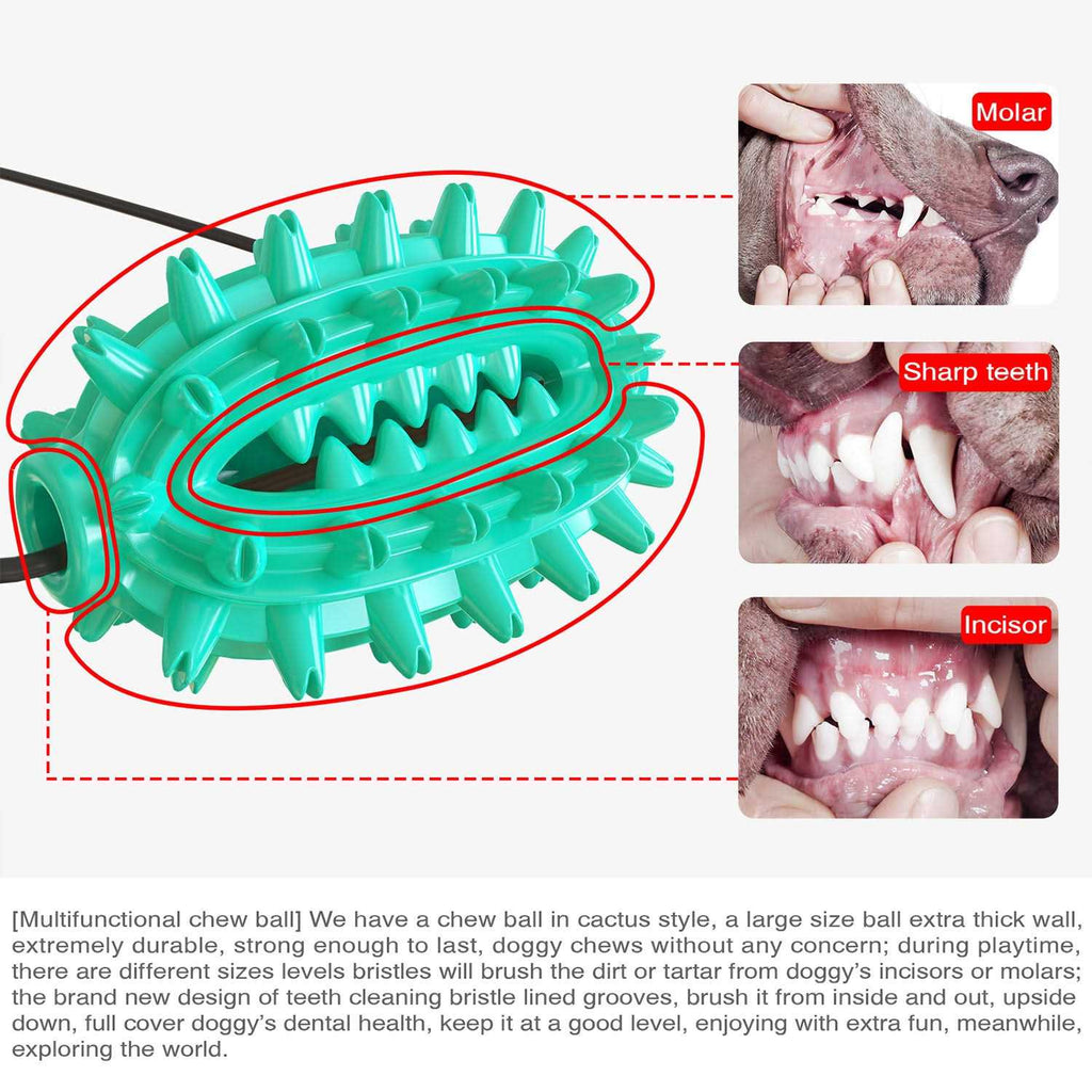 Toothbrush Dog Chew Toy E74045