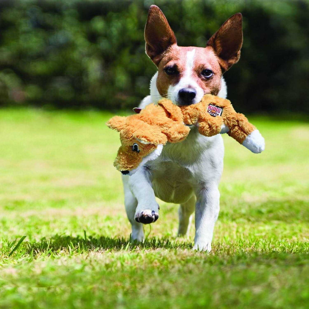 Dog Toy D48350