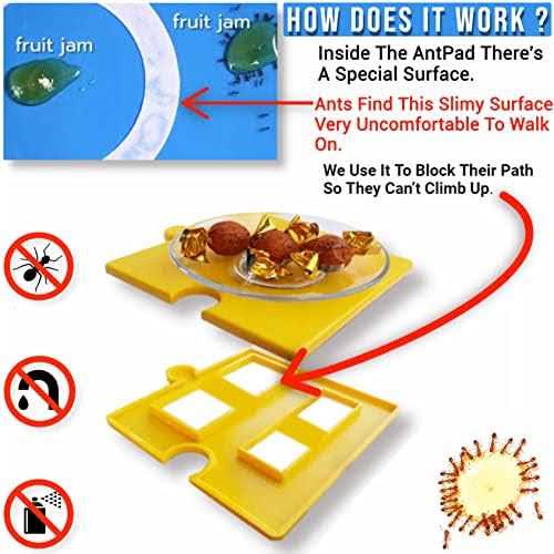 Ant Proof Pet Bowl D7215