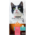 Salmon & Rice Formula Dry Cat Food N5412