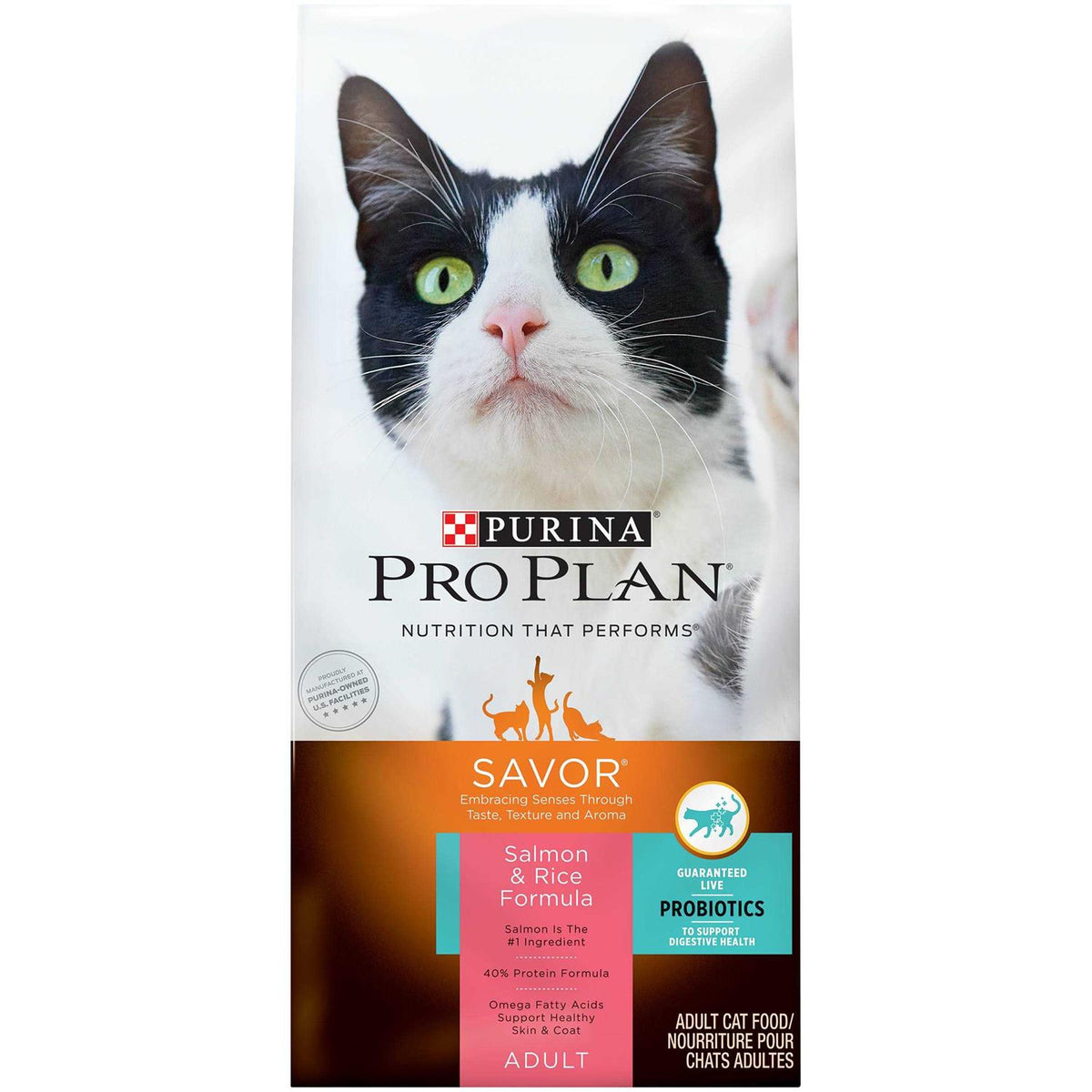 Salmon & Rice Formula Dry Cat Food N5412
