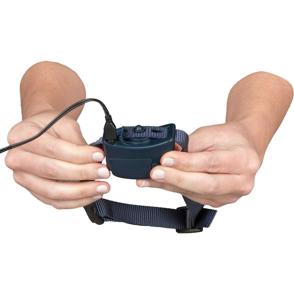 Spray Bark Dog Collar N905