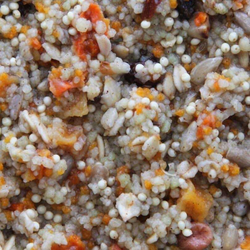 Bird Food N311978