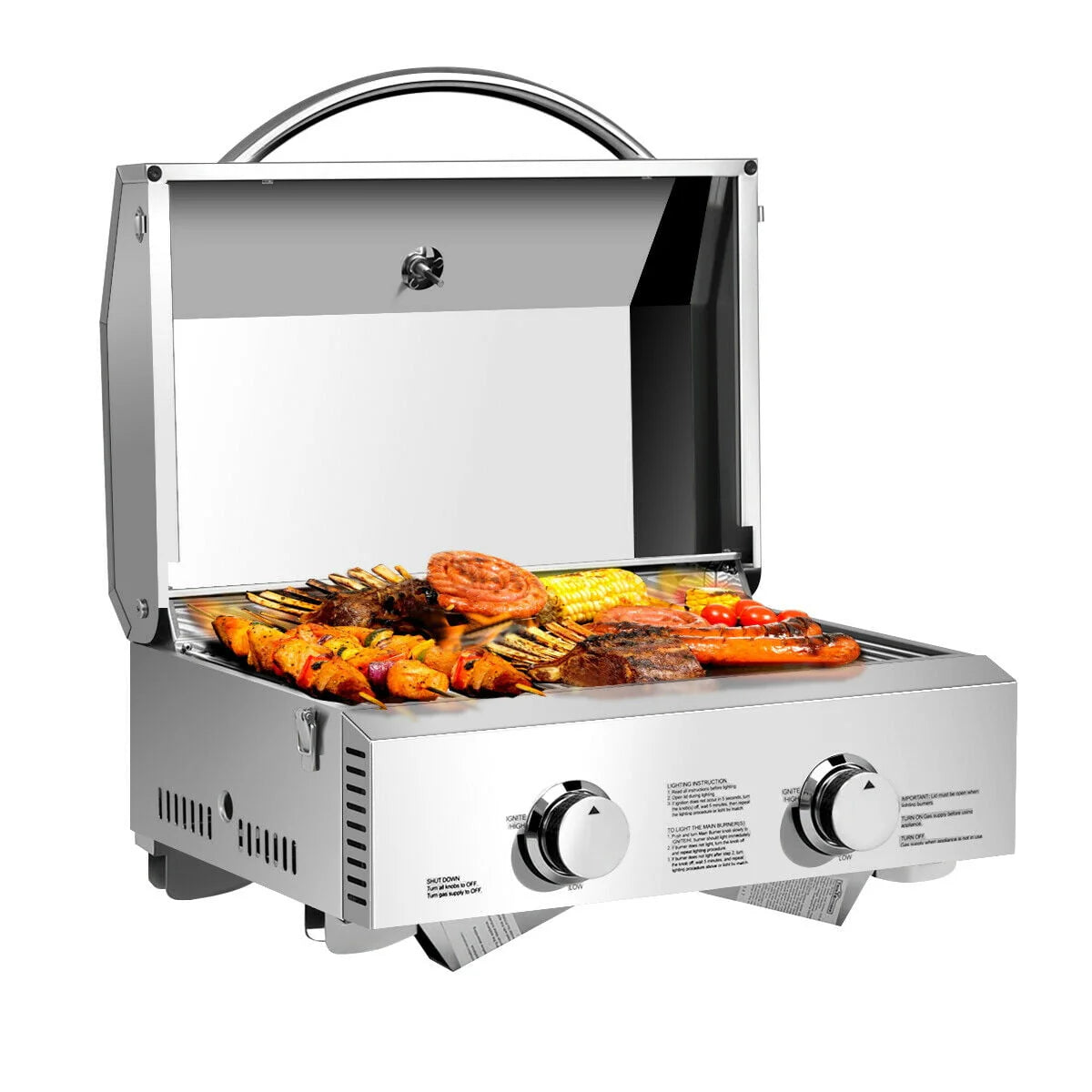 2 Burner Portable Propane Gas Grill Stainless Steel D500