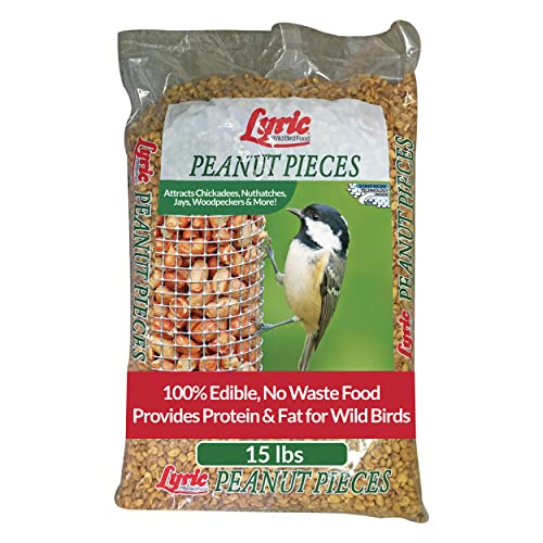 Peanut Pieces Wild Bird Seed 15 lb bag F963