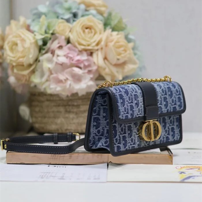Bag with Chain E701