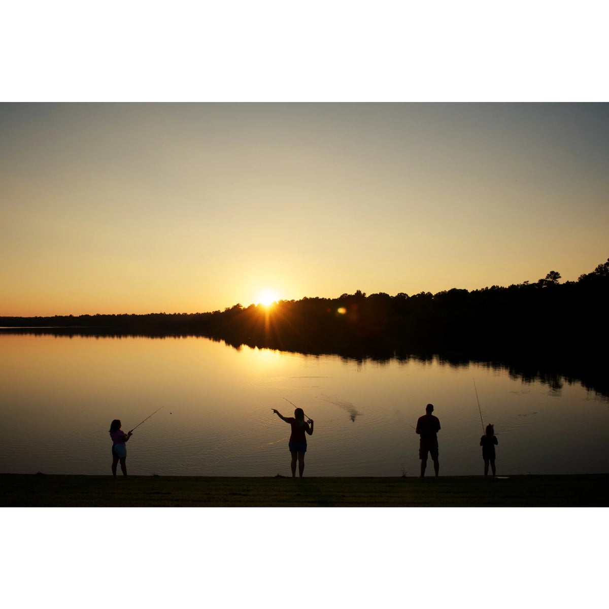 Boat Fishing Rod I46728