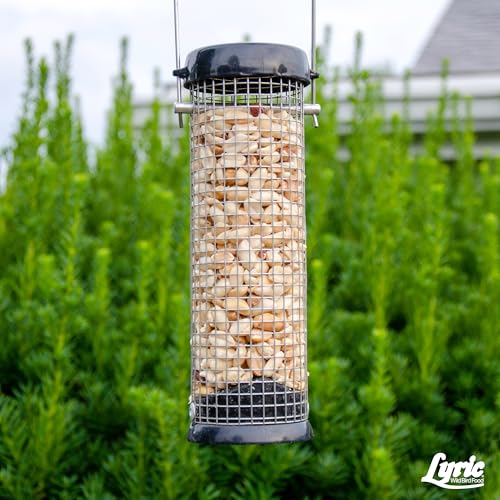 Peanut Pieces Wild Bird Seed 15 lb bag F963