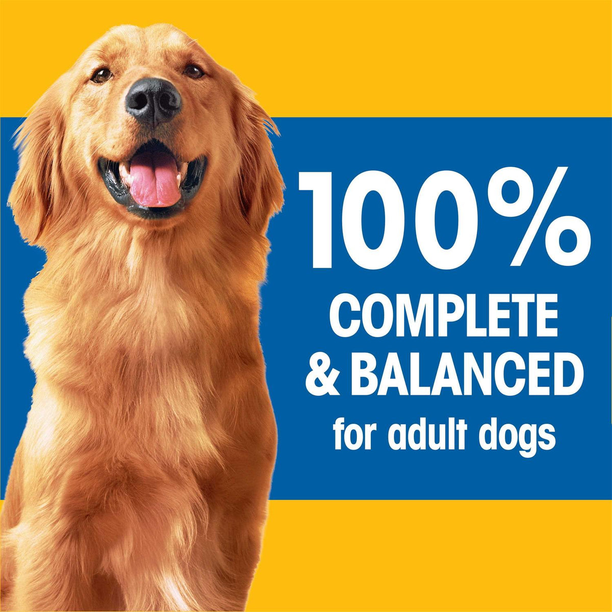 Adult Complete Nutrition Dry Dog Food Roasted Chicken Rice & Vegetable B20705
