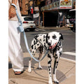 Waste Bag Holder I43755