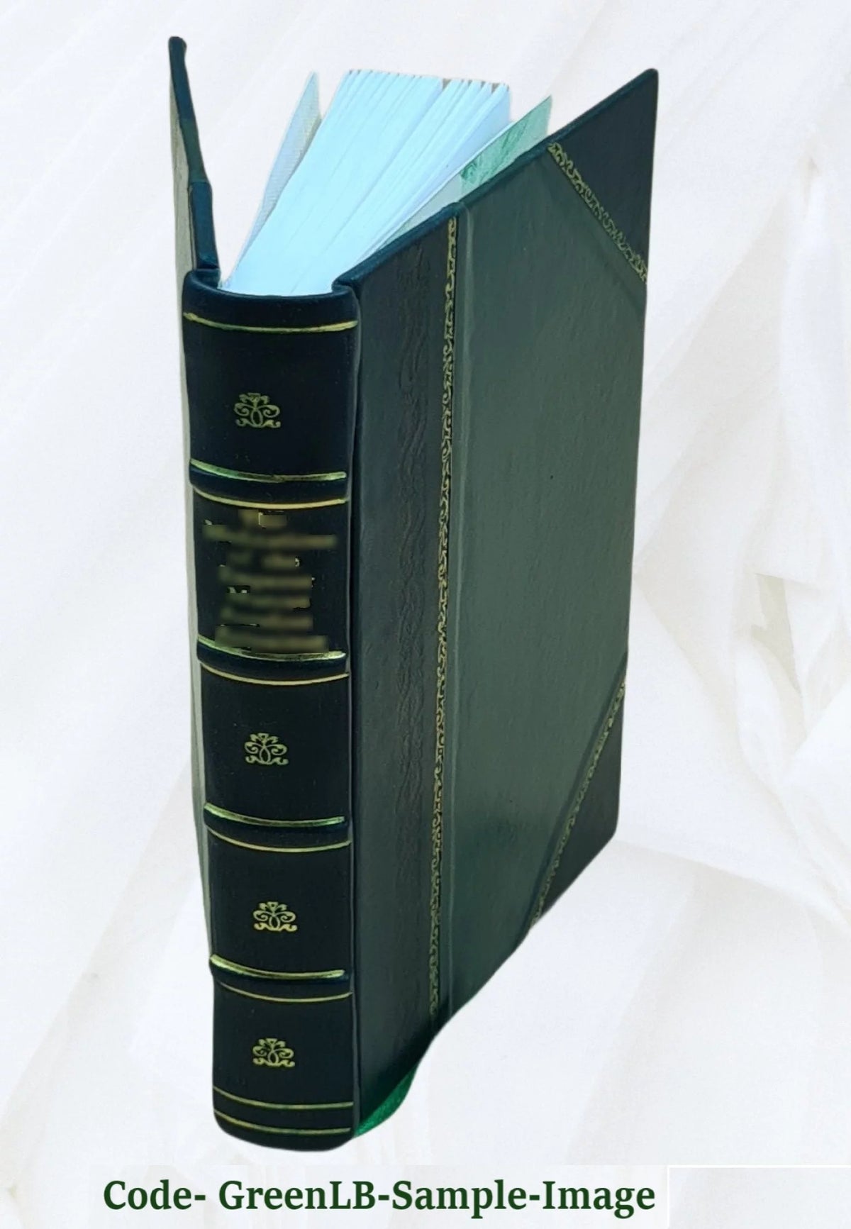 Leather Bound Book R201