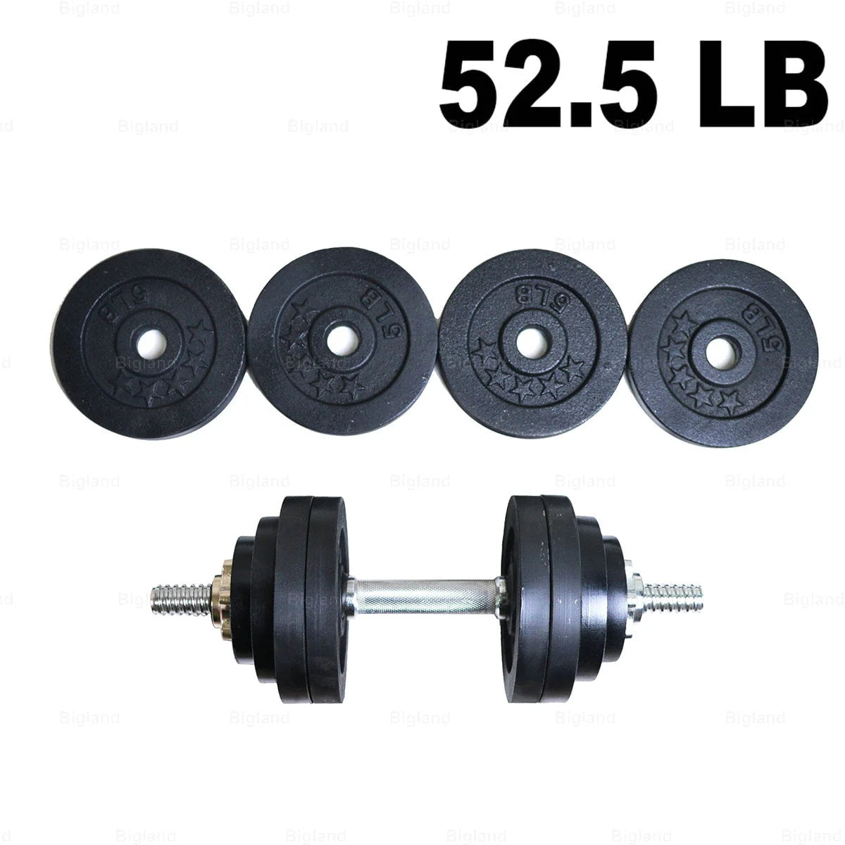 52.5lb Adjustable Cast Iron Dumbbell H901