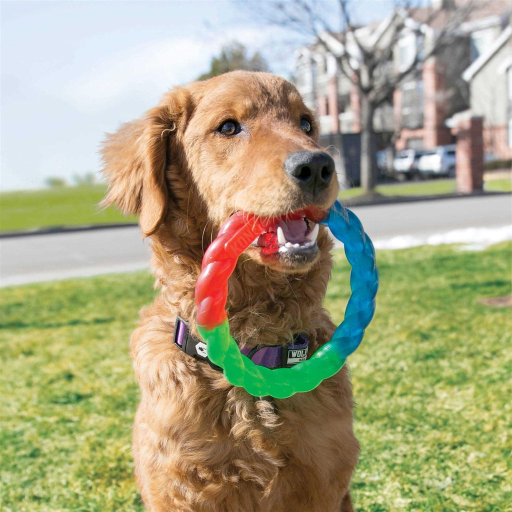 Pet Supplies Y97492