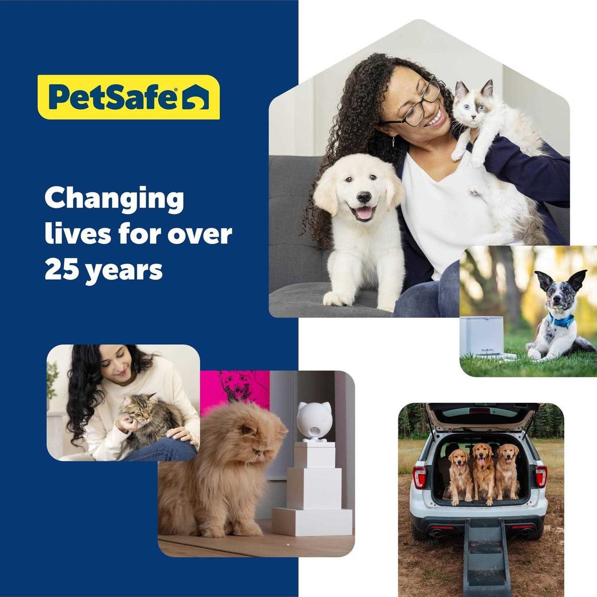 Dog Hitch Step K8778